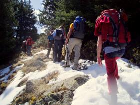 photo coins arrondis